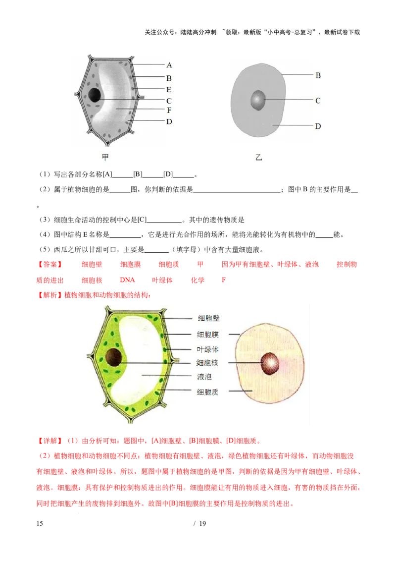 主题01生物体的结构层次（测试）（解析版）_02中考总复习（2026版更新中）_08-生物-中考总复习_2025中考复习资料_2025中考二轮课件ppt+讲义+练习生物_测试