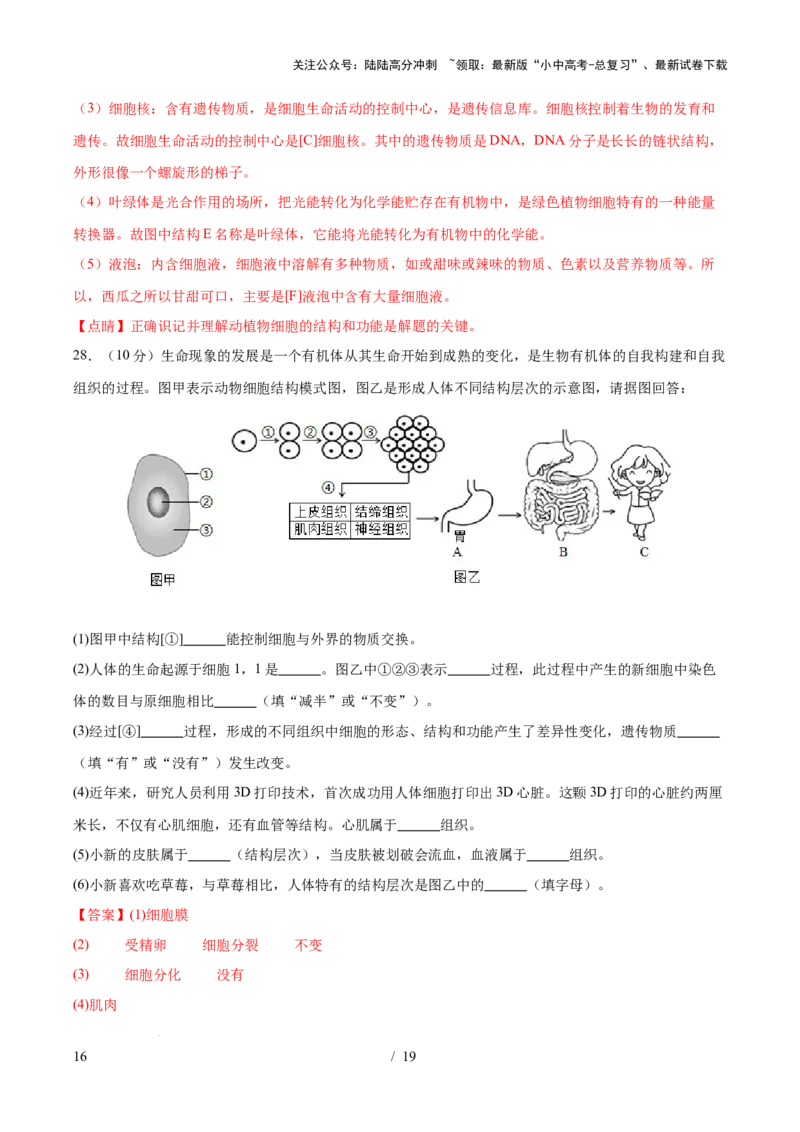主题01生物体的结构层次（测试）（解析版）_02中考总复习（2026版更新中）_08-生物-中考总复习_2025中考复习资料_2025中考二轮课件ppt+讲义+练习生物_测试