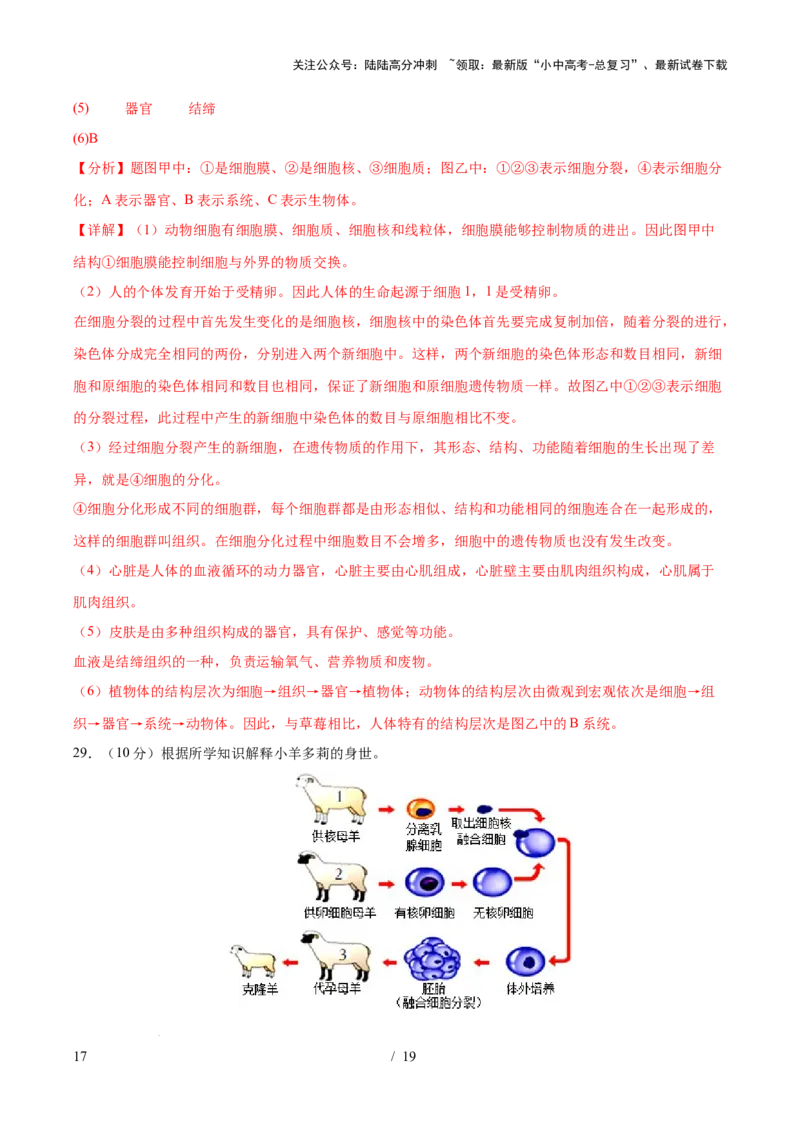 主题01生物体的结构层次（测试）（解析版）_02中考总复习（2026版更新中）_08-生物-中考总复习_2025中考复习资料_2025中考二轮课件ppt+讲义+练习生物_测试