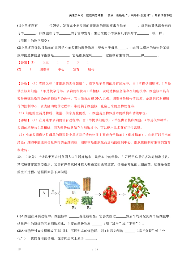 主题01生物体的结构层次（测试）（解析版）_02中考总复习（2026版更新中）_08-生物-中考总复习_2025中考复习资料_2025中考二轮课件ppt+讲义+练习生物_测试