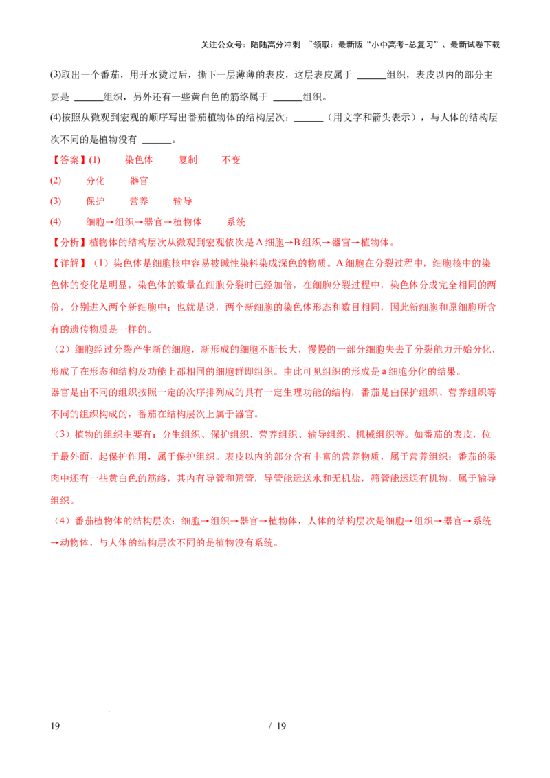 主题01生物体的结构层次（测试）（解析版）_02中考总复习（2026版更新中）_08-生物-中考总复习_2025中考复习资料_2025中考二轮课件ppt+讲义+练习生物_测试