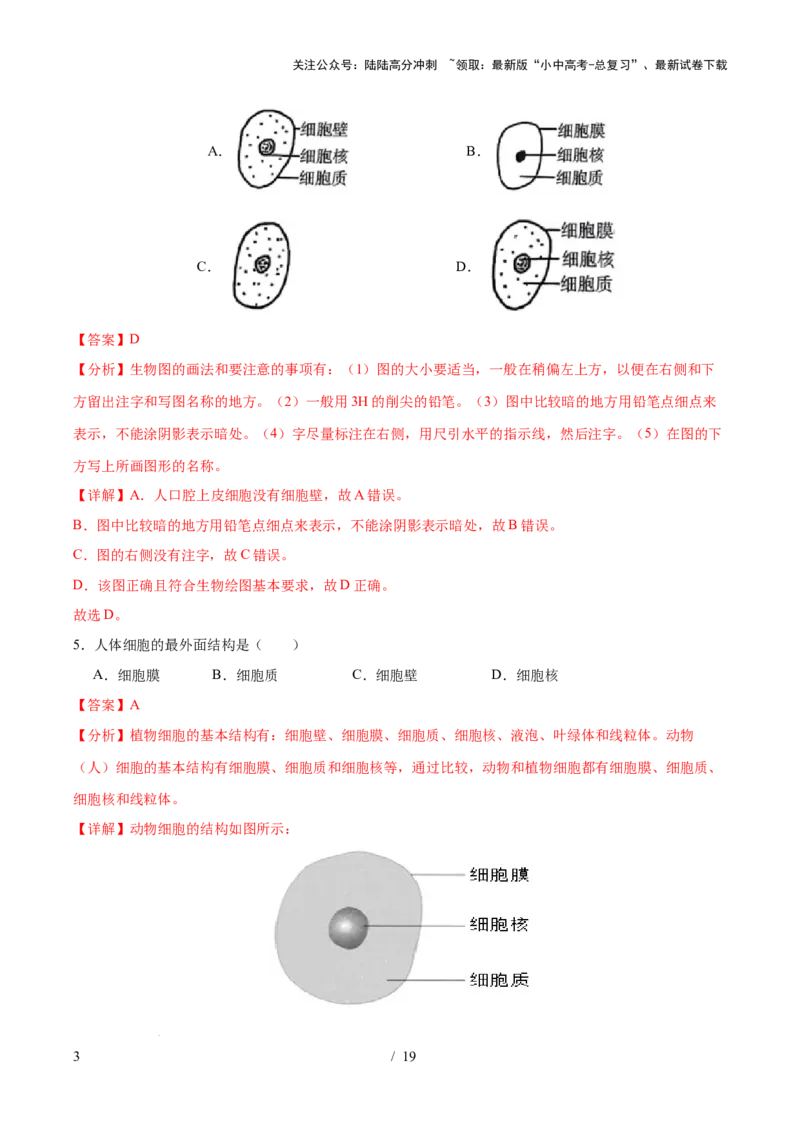 主题01生物体的结构层次（测试）（解析版）_02中考总复习（2026版更新中）_08-生物-中考总复习_2025中考复习资料_2025中考二轮课件ppt+讲义+练习生物_测试