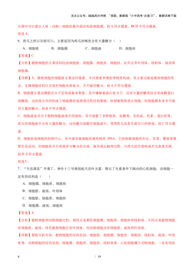 主题01生物体的结构层次（测试）（解析版）_02中考总复习（2026版更新中）_08-生物-中考总复习_2025中考复习资料_2025中考二轮课件ppt+讲义+练习生物_测试