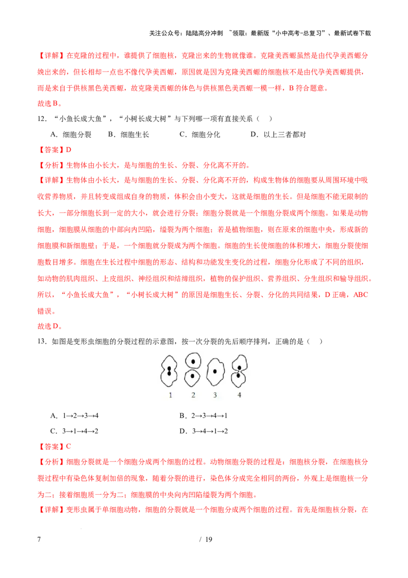 主题01生物体的结构层次（测试）（解析版）_02中考总复习（2026版更新中）_08-生物-中考总复习_2025中考复习资料_2025中考二轮课件ppt+讲义+练习生物_测试