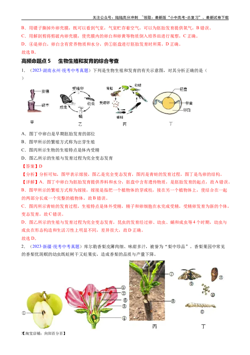 清单12生物的生殖和发育（包括人的生殖）（5大考点+5大高频命题点）（教师版）_02中考总复习（2026版更新中）_08-生物-中考总复习_2024年中考复习资料_一轮复习_教师版（含答案解析）