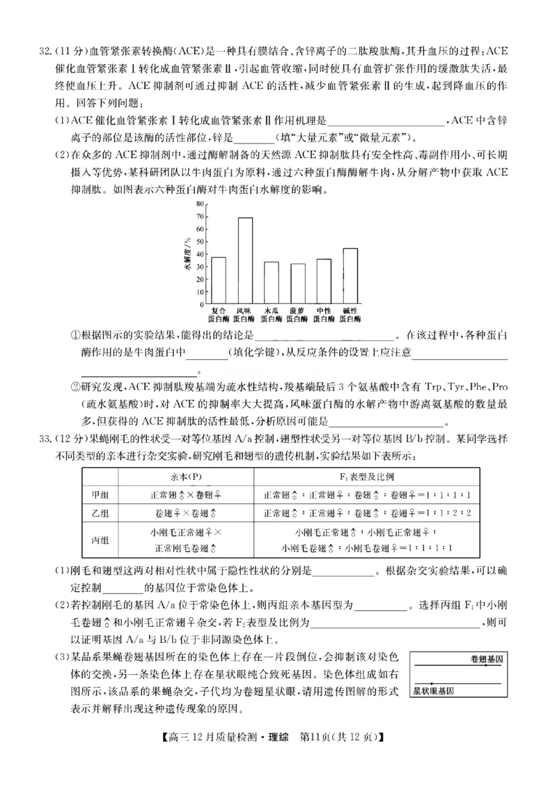 理综1_4.2025物理总复习_2023年新高复习资料_3物理高考模拟题_新高考_2023届九师联盟高三12月联考质量检测理综_2023届九师联盟高三12月联考质量检测理综
