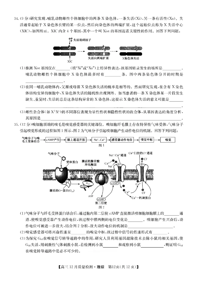 理综1_4.2025物理总复习_2023年新高复习资料_3物理高考模拟题_新高考_2023届九师联盟高三12月联考质量检测理综_2023届九师联盟高三12月联考质量检测理综