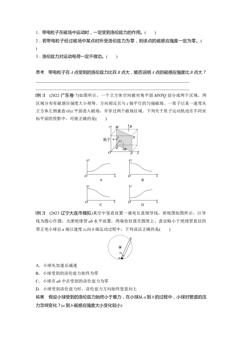 第十一章　第2课时　磁场对运动电荷(带电体)的作用_4.2025物理总复习_2025年新高考资料_一轮复习_2025物理大一轮复习讲义+课件ppt（完结）_2025大一轮复习讲义