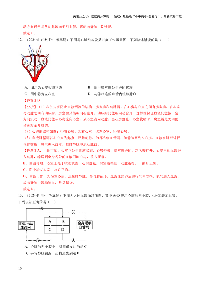 主题五人体生理与健康（讲练）（解析版）_02中考总复习（2026版更新中）_08-生物-中考总复习_2025中考复习资料_2025中考二轮课件ppt+讲义+练习生物_讲义+练习