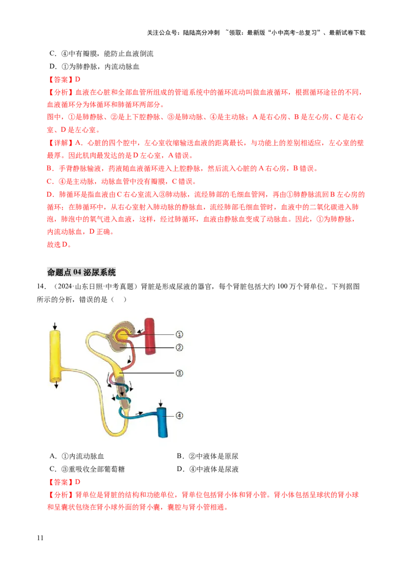 主题五人体生理与健康（讲练）（解析版）_02中考总复习（2026版更新中）_08-生物-中考总复习_2025中考复习资料_2025中考二轮课件ppt+讲义+练习生物_讲义+练习