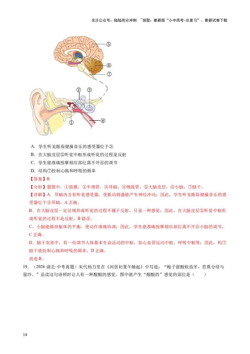 主题五人体生理与健康（讲练）（解析版）_02中考总复习（2026版更新中）_08-生物-中考总复习_2025中考复习资料_2025中考二轮课件ppt+讲义+练习生物_讲义+练习