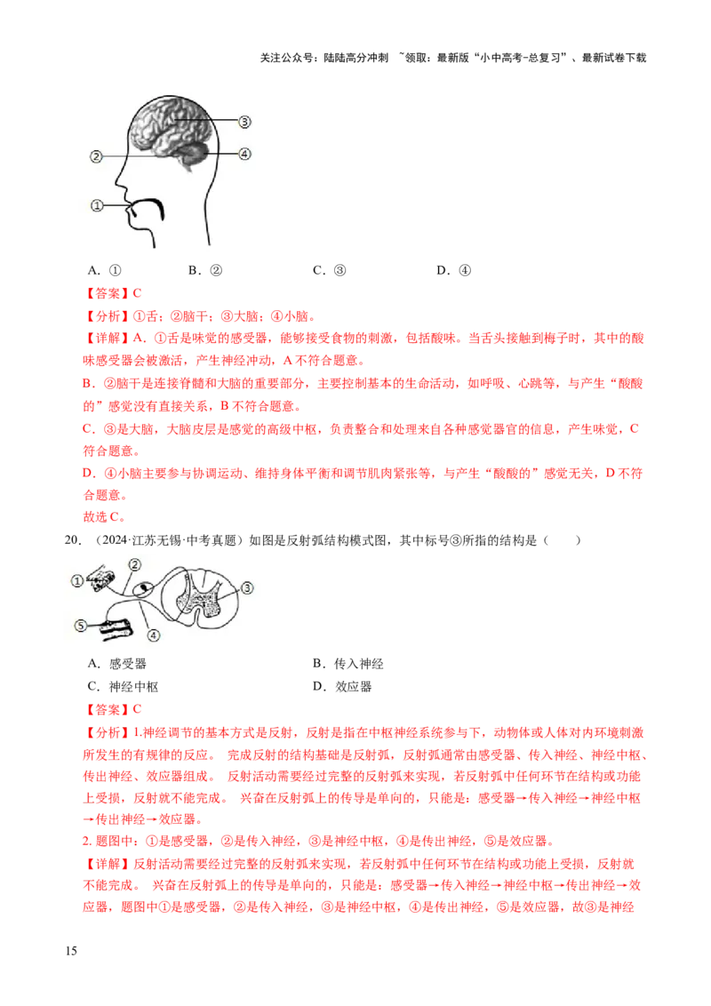 主题五人体生理与健康（讲练）（解析版）_02中考总复习（2026版更新中）_08-生物-中考总复习_2025中考复习资料_2025中考二轮课件ppt+讲义+练习生物_讲义+练习