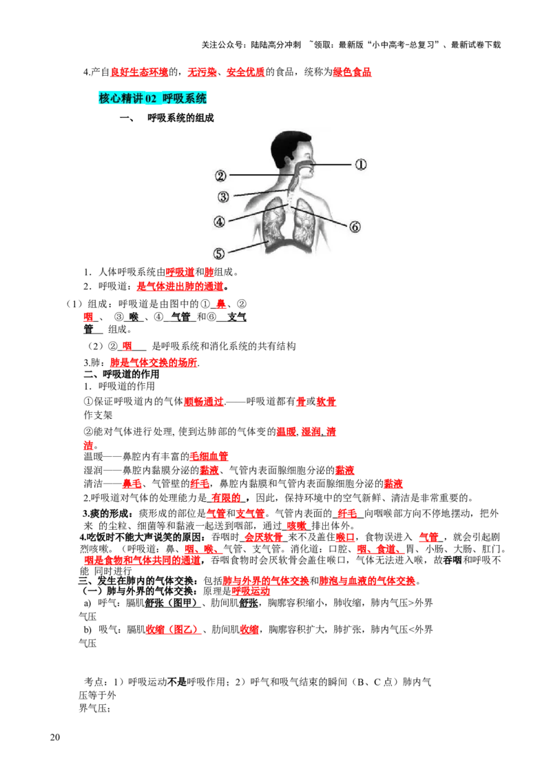 主题五人体生理与健康（讲练）（解析版）_02中考总复习（2026版更新中）_08-生物-中考总复习_2025中考复习资料_2025中考二轮课件ppt+讲义+练习生物_讲义+练习