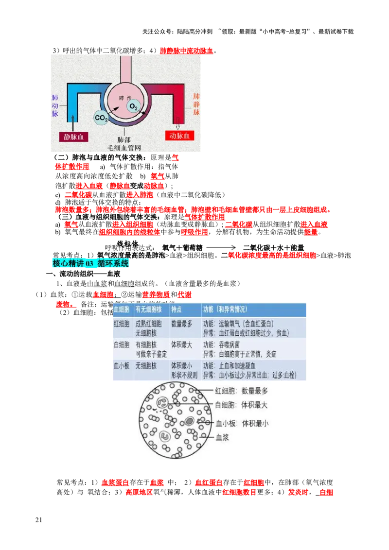 主题五人体生理与健康（讲练）（解析版）_02中考总复习（2026版更新中）_08-生物-中考总复习_2025中考复习资料_2025中考二轮课件ppt+讲义+练习生物_讲义+练习