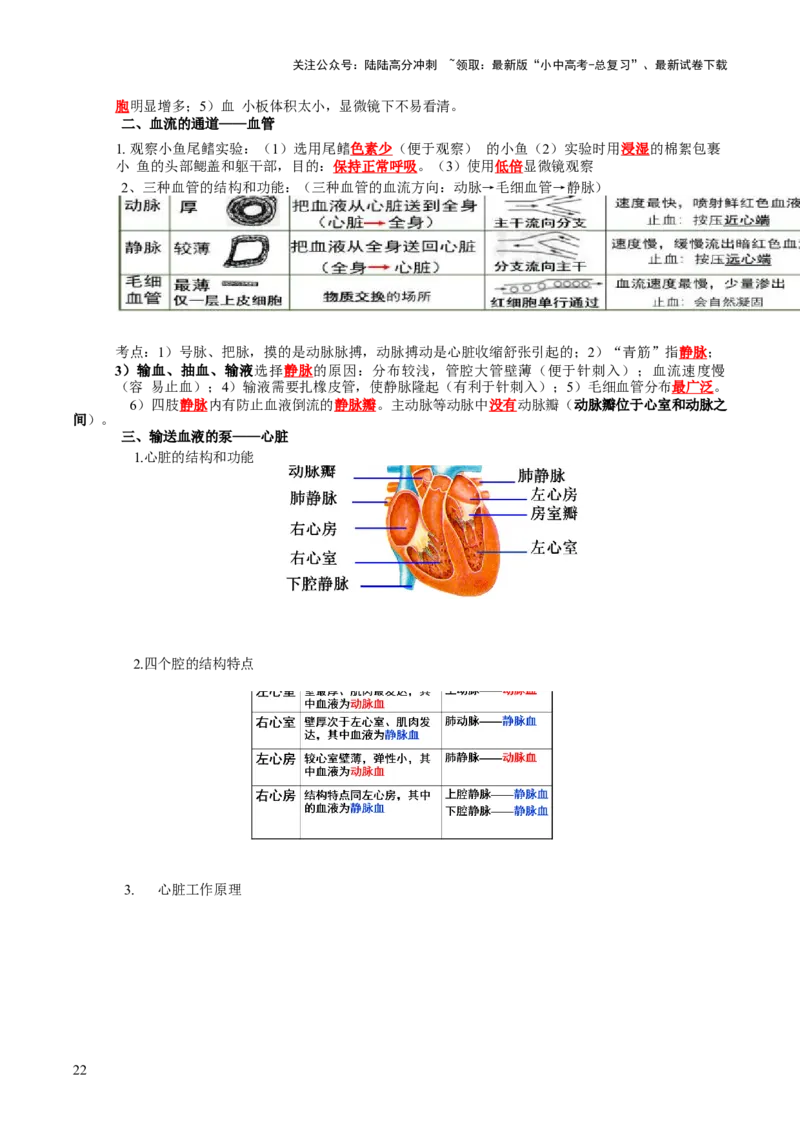 主题五人体生理与健康（讲练）（解析版）_02中考总复习（2026版更新中）_08-生物-中考总复习_2025中考复习资料_2025中考二轮课件ppt+讲义+练习生物_讲义+练习