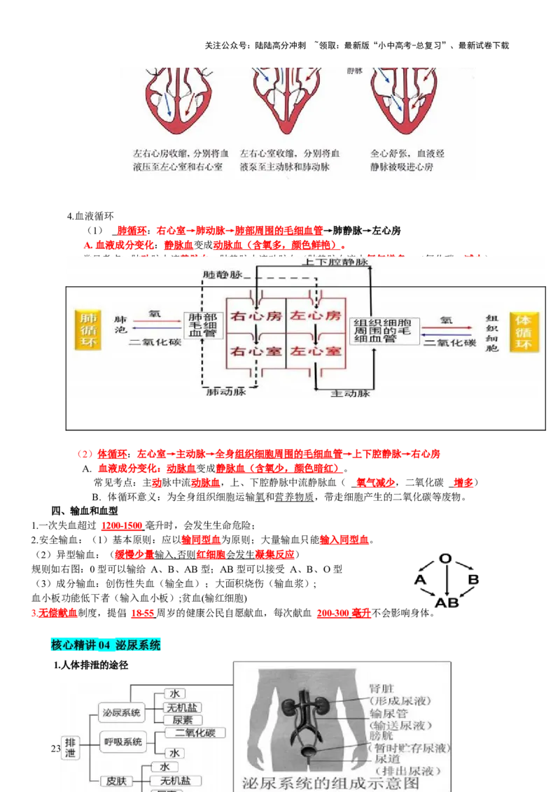 主题五人体生理与健康（讲练）（解析版）_02中考总复习（2026版更新中）_08-生物-中考总复习_2025中考复习资料_2025中考二轮课件ppt+讲义+练习生物_讲义+练习