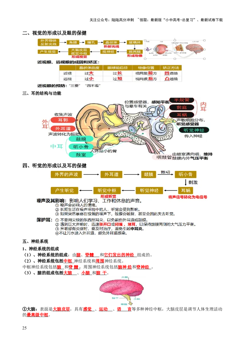 主题五人体生理与健康（讲练）（解析版）_02中考总复习（2026版更新中）_08-生物-中考总复习_2025中考复习资料_2025中考二轮课件ppt+讲义+练习生物_讲义+练习