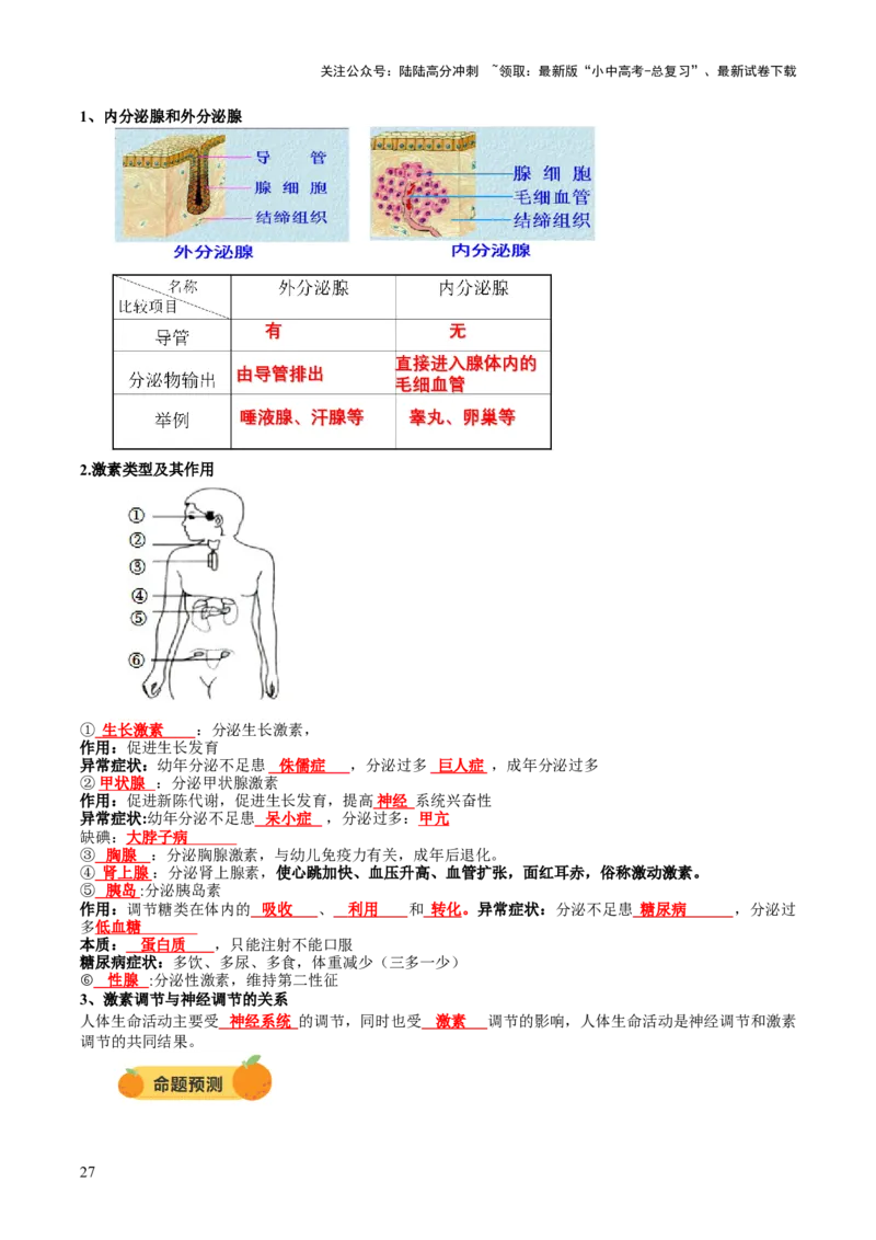 主题五人体生理与健康（讲练）（解析版）_02中考总复习（2026版更新中）_08-生物-中考总复习_2025中考复习资料_2025中考二轮课件ppt+讲义+练习生物_讲义+练习