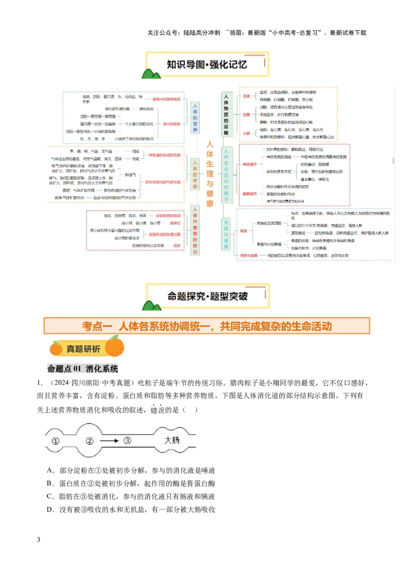 主题五人体生理与健康（讲练）（解析版）_02中考总复习（2026版更新中）_08-生物-中考总复习_2025中考复习资料_2025中考二轮课件ppt+讲义+练习生物_讲义+练习