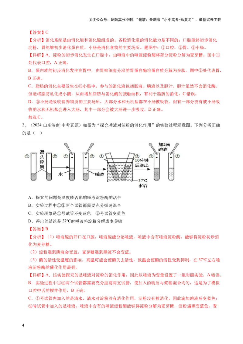 主题五人体生理与健康（讲练）（解析版）_02中考总复习（2026版更新中）_08-生物-中考总复习_2025中考复习资料_2025中考二轮课件ppt+讲义+练习生物_讲义+练习