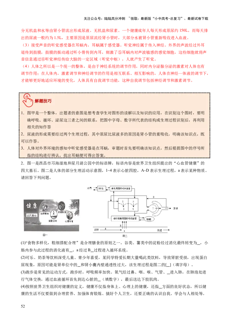 主题五人体生理与健康（讲练）（解析版）_02中考总复习（2026版更新中）_08-生物-中考总复习_2025中考复习资料_2025中考二轮课件ppt+讲义+练习生物_讲义+练习