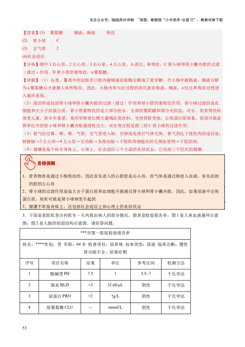 主题五人体生理与健康（讲练）（解析版）_02中考总复习（2026版更新中）_08-生物-中考总复习_2025中考复习资料_2025中考二轮课件ppt+讲义+练习生物_讲义+练习
