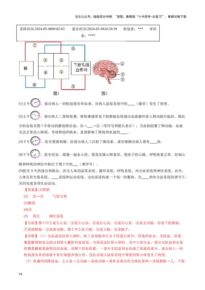 主题五人体生理与健康（讲练）（解析版）_02中考总复习（2026版更新中）_08-生物-中考总复习_2025中考复习资料_2025中考二轮课件ppt+讲义+练习生物_讲义+练习