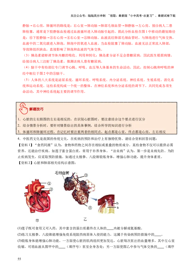 主题五人体生理与健康（讲练）（解析版）_02中考总复习（2026版更新中）_08-生物-中考总复习_2025中考复习资料_2025中考二轮课件ppt+讲义+练习生物_讲义+练习
