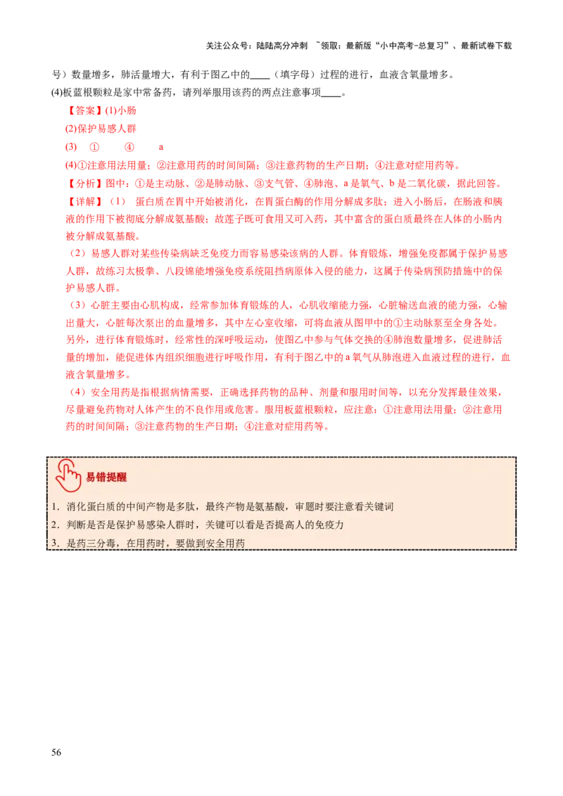 主题五人体生理与健康（讲练）（解析版）_02中考总复习（2026版更新中）_08-生物-中考总复习_2025中考复习资料_2025中考二轮课件ppt+讲义+练习生物_讲义+练习