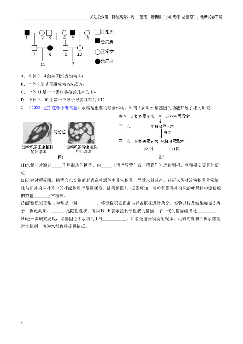 清单13生物的遗传和变异（5大考点+6大高频命题点（学生版）_02中考总复习（2026版更新中）_08-生物-中考总复习_2024年中考复习资料_一轮复习