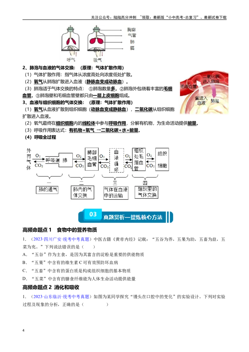 清单05人体的营养与呼吸（5大考点+5大高频命题点）（学生版）_02中考总复习（2026版更新中）_08-生物-中考总复习_2024年中考复习资料_一轮复习