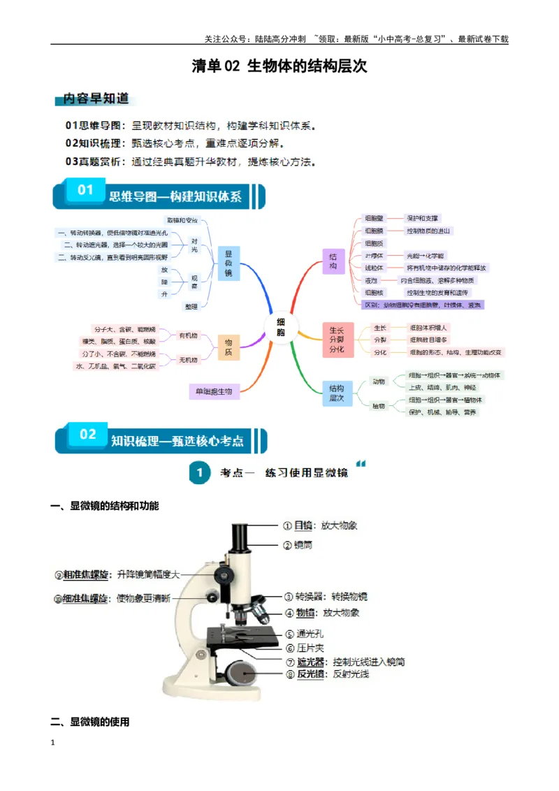 清单02生物体的结构层次（6大考点+6大高频命题点）（教师版）_02中考总复习（2026版更新中）_08-生物-中考总复习_2024年中考复习资料_一轮复习_教师版（含答案解析）