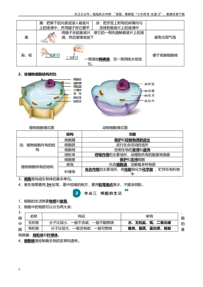 清单02生物体的结构层次（6大考点+6大高频命题点）（教师版）_02中考总复习（2026版更新中）_08-生物-中考总复习_2024年中考复习资料_一轮复习_教师版（含答案解析）