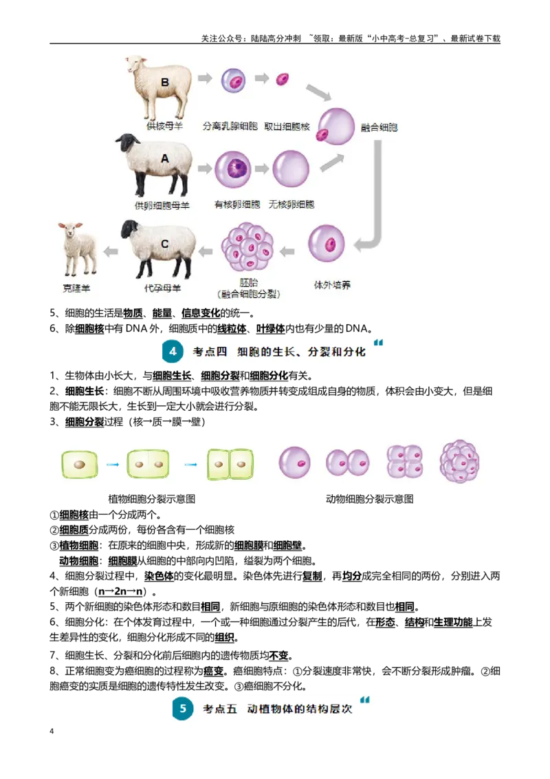 清单02生物体的结构层次（6大考点+6大高频命题点）（教师版）_02中考总复习（2026版更新中）_08-生物-中考总复习_2024年中考复习资料_一轮复习_教师版（含答案解析）