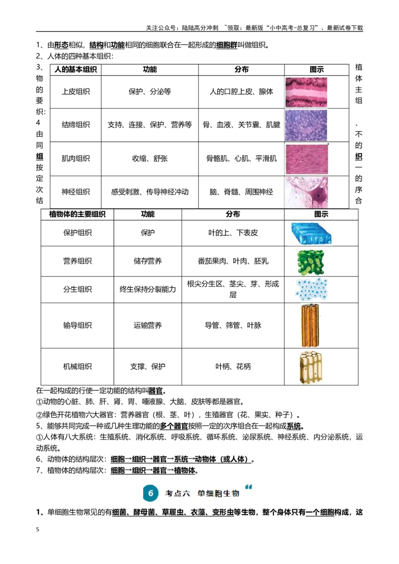 清单02生物体的结构层次（6大考点+6大高频命题点）（教师版）_02中考总复习（2026版更新中）_08-生物-中考总复习_2024年中考复习资料_一轮复习_教师版（含答案解析）