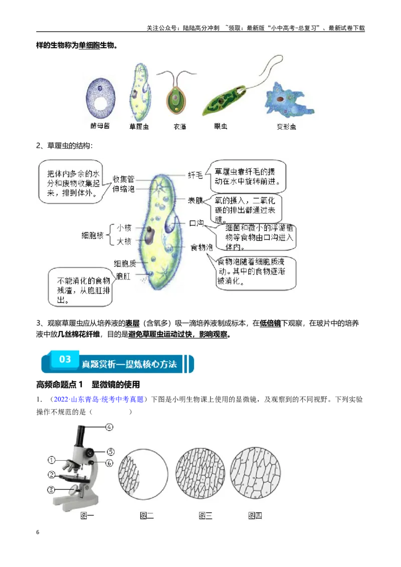 清单02生物体的结构层次（6大考点+6大高频命题点）（教师版）_02中考总复习（2026版更新中）_08-生物-中考总复习_2024年中考复习资料_一轮复习_教师版（含答案解析）