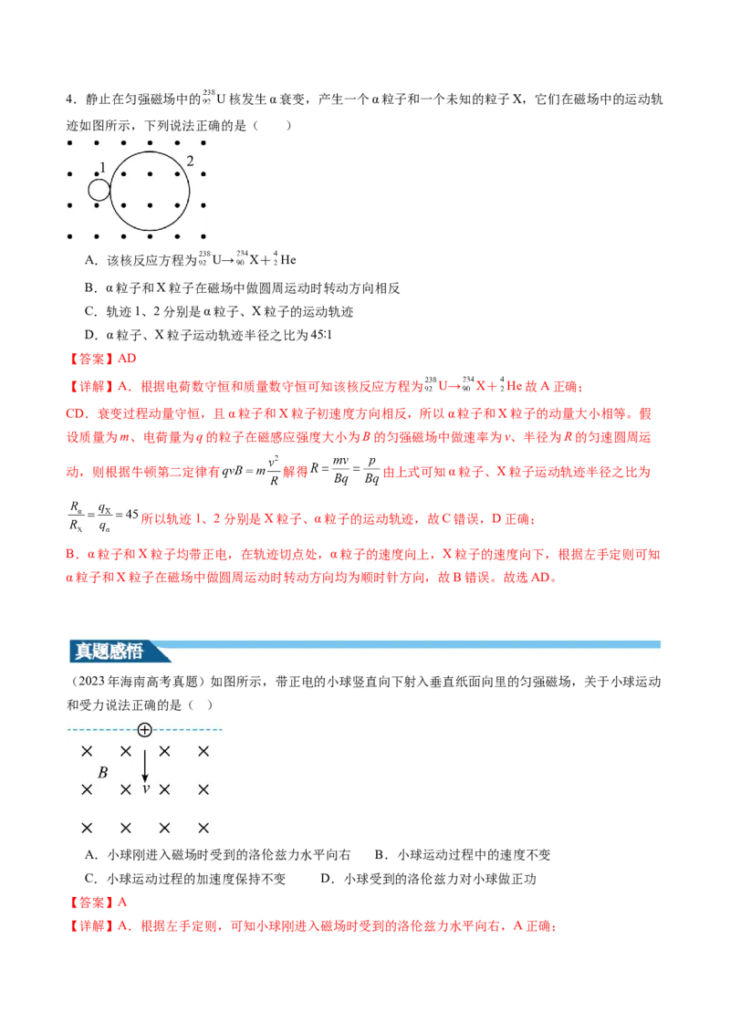 第50讲磁场对运动电荷的作用（讲义）（解析版）_4.2025物理总复习_2024年新高考资料_1.2024一轮复习_2024年高考物理一轮复习讲练测（新教材新高考）_第50讲磁场对运动电荷的作用（讲义）