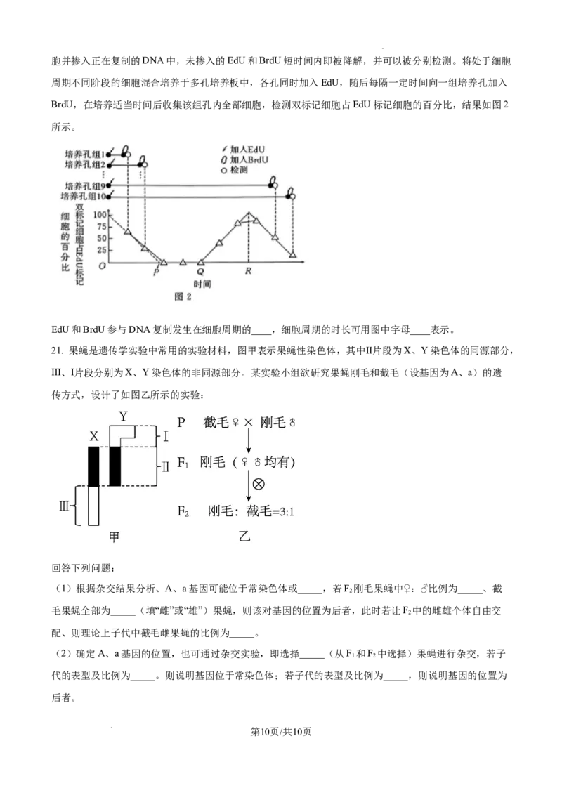 江西省南昌市第十中学2024-2025学年高三上学期第一次月考生物_A1502026各地模拟卷（超值！）_10月_241025江西省南昌市第十中学2024-2025学年高三上学期第一次月考（全）