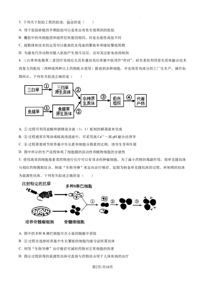 江西省南昌市第十中学2024-2025学年高三上学期第一次月考生物_A1502026各地模拟卷（超值！）_10月_241025江西省南昌市第十中学2024-2025学年高三上学期第一次月考（全）