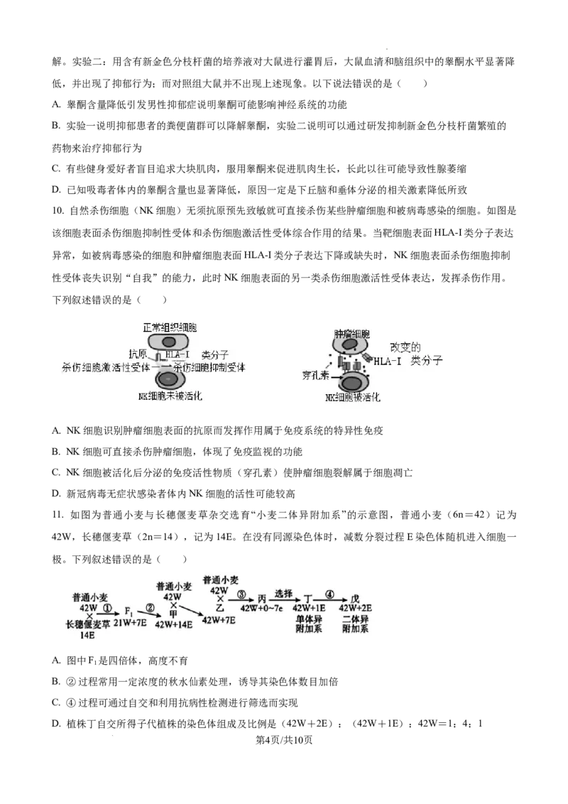 江西省南昌市第十中学2024-2025学年高三上学期第一次月考生物_A1502026各地模拟卷（超值！）_10月_241025江西省南昌市第十中学2024-2025学年高三上学期第一次月考（全）