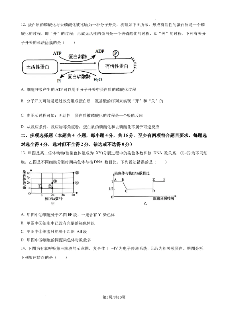江西省南昌市第十中学2024-2025学年高三上学期第一次月考生物_A1502026各地模拟卷（超值！）_10月_241025江西省南昌市第十中学2024-2025学年高三上学期第一次月考（全）