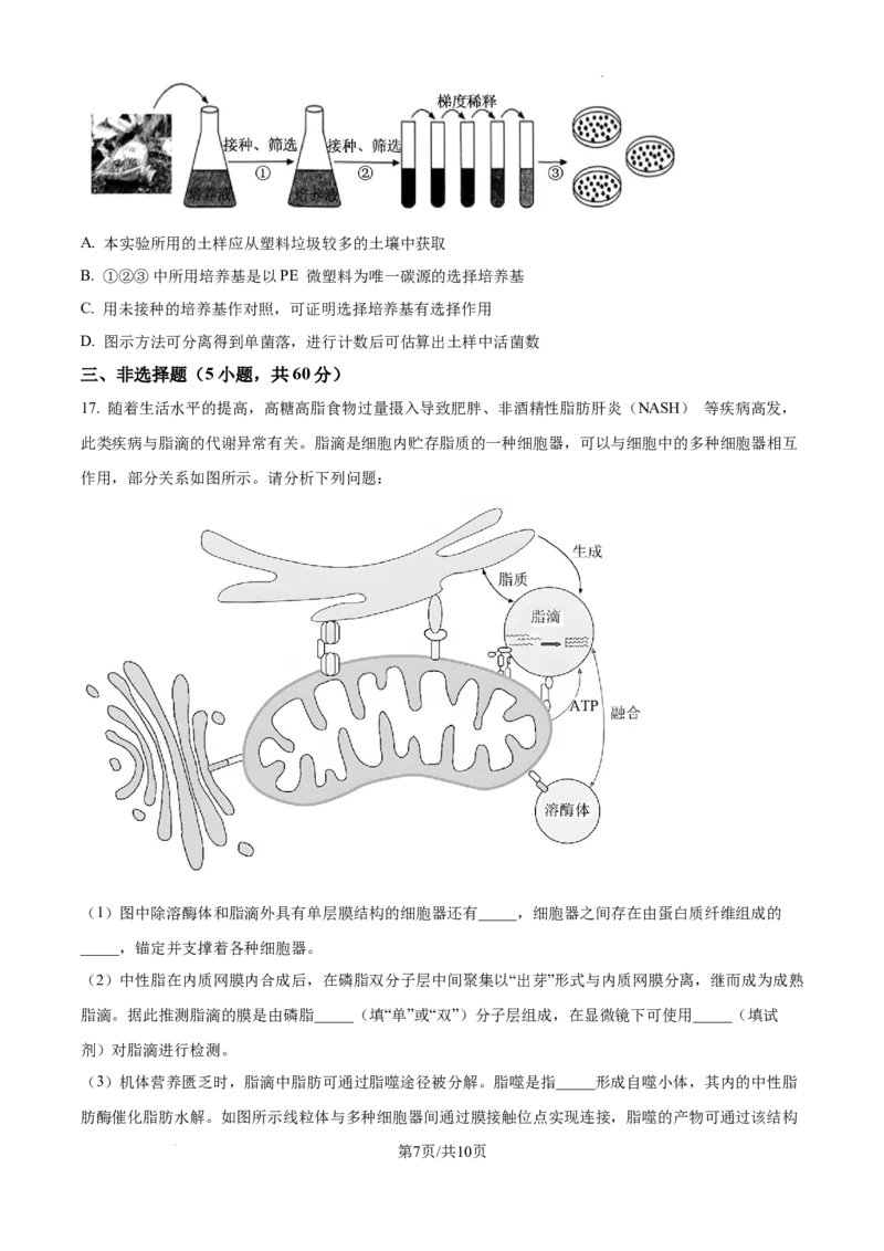 江西省南昌市第十中学2024-2025学年高三上学期第一次月考生物_A1502026各地模拟卷（超值！）_10月_241025江西省南昌市第十中学2024-2025学年高三上学期第一次月考（全）