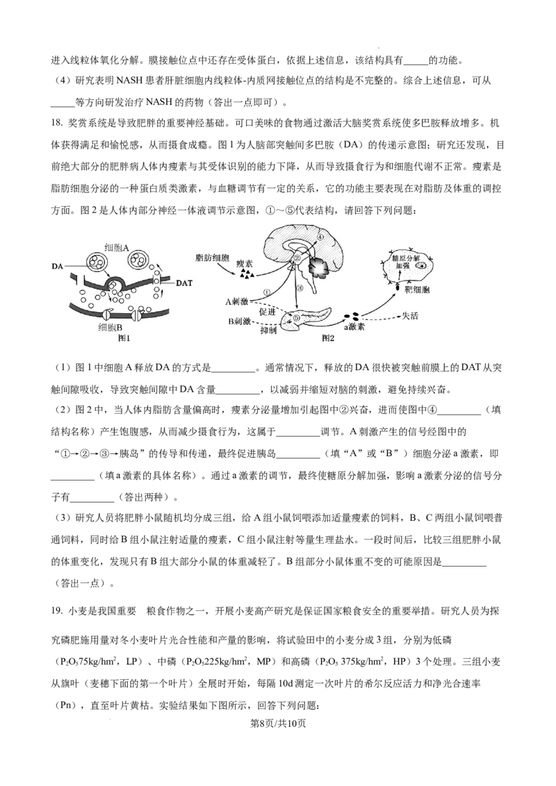江西省南昌市第十中学2024-2025学年高三上学期第一次月考生物_A1502026各地模拟卷（超值！）_10月_241025江西省南昌市第十中学2024-2025学年高三上学期第一次月考（全）