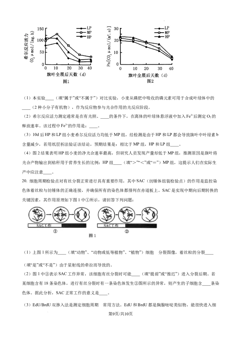 江西省南昌市第十中学2024-2025学年高三上学期第一次月考生物_A1502026各地模拟卷（超值！）_10月_241025江西省南昌市第十中学2024-2025学年高三上学期第一次月考（全）