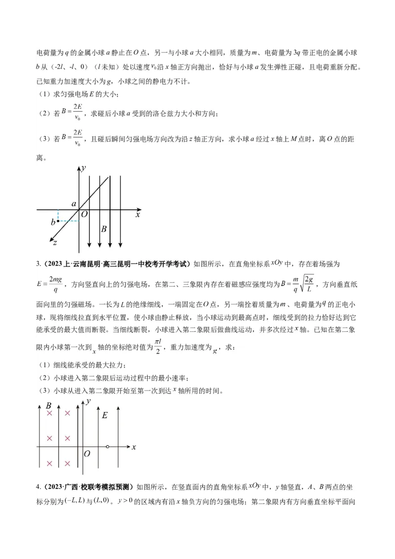 专题13带电粒子在组（复）合场中的运动（原卷版）_4.2025物理总复习_2024年新高考资料_2.2024二轮复习_2024年高考物理二轮热点题型归纳与变式演练（新高考通用）