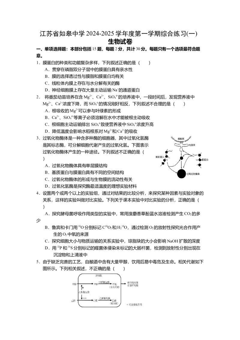 江苏省如皋中学2024-2025学年高三上学期综合练习（一）生物Word版含答案_A1502026各地模拟卷（超值！）_10月_241022江苏省如皋中学2024-2025学年高三上学期综合练习（一）