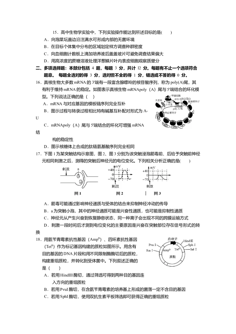 江苏省如皋中学2024-2025学年高三上学期综合练习（一）生物Word版含答案_A1502026各地模拟卷（超值！）_10月_241022江苏省如皋中学2024-2025学年高三上学期综合练习（一）