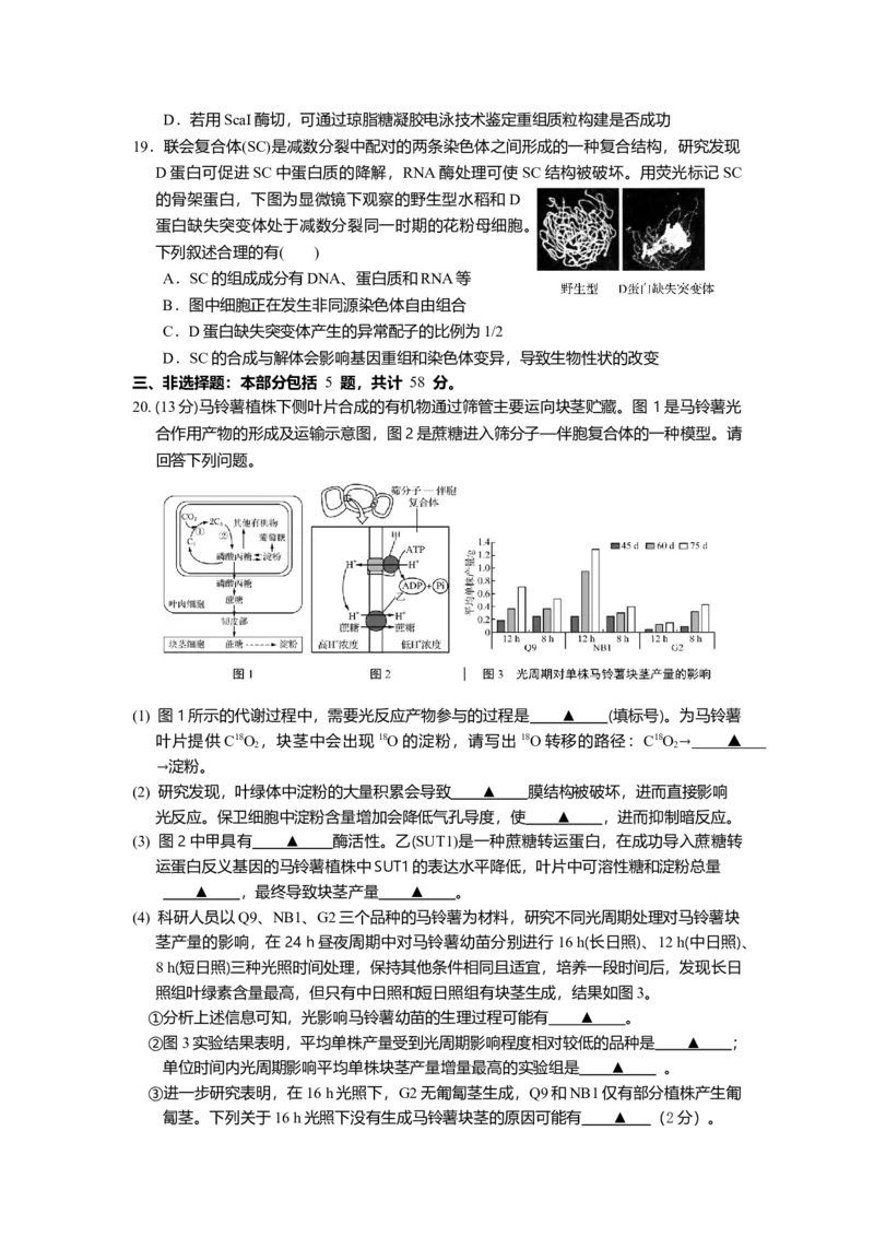 江苏省如皋中学2024-2025学年高三上学期综合练习（一）生物Word版含答案_A1502026各地模拟卷（超值！）_10月_241022江苏省如皋中学2024-2025学年高三上学期综合练习（一）