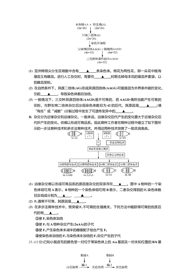 江苏省如皋中学2024-2025学年高三上学期综合练习（一）生物Word版含答案_A1502026各地模拟卷（超值！）_10月_241022江苏省如皋中学2024-2025学年高三上学期综合练习（一）
