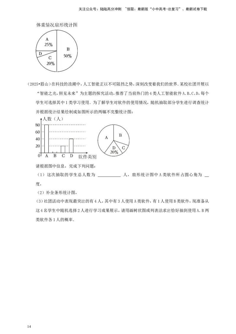 备考2026中考数学真题2025分类精编精练20数据的收集与处理（含解析）_02中考总复习（2026版更新中）_02-数学-中考总复习_2026年中考复习（更新中）